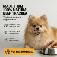 Dog Chits tráquea de res bajo en grasa para un peso saludable