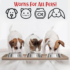 DogBuddy bordes altos (15 mm) previenen salpicaduras.