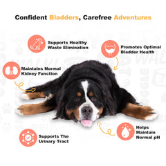 Doggie Dailies Cranberry Supplement sabor tocino: masticables que gustan a perros
