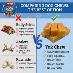 Doggo Dog Chew contribuye a la higiene dental durante la masticación