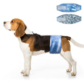 Dono Dog Diapers: empaque resistente para transporte diario.