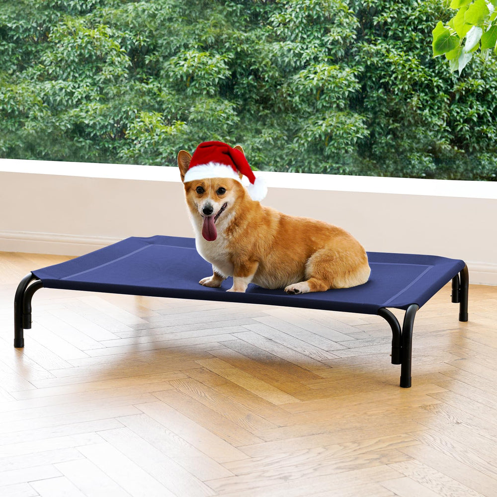 Cama elevada DOPEDIO para perro mediano, uso interior/exterior en azul.