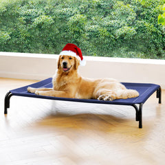Cama para perros DOPEDIO elevada exterior azul, mantiene a tu perro seco y cómodo al aire libre.