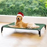 DOPEDIO cama para perro elevada exterior verde, mantiene al perro seco y cómodo