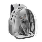 Dorphy cápsula espacial con ventana, ideal para tranquilizar a la mascota durante viajes
