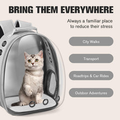 Dorphy talla ideal para mascotas hasta 8 kg, perfecto para viajar