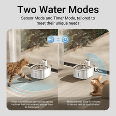 DownyPaws purificacion de 5 etapas mantiene agua más limpia para beber.