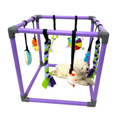 DOZZOPET Gimnasio de juego para cachorros con juguetes colgantes para estimulación mental
