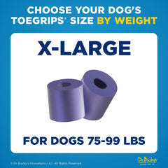 Aplicación de ToeGrips XL en la uña de un perro en casa.