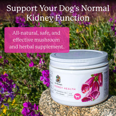 Dr. Harvey's Kidney Health, etiqueta muestra Rehmannia y hongos orgánicos.