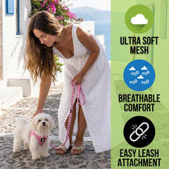 Arnés ajustable EcoBark para perro mini rosa, ideal para salidas diarias.