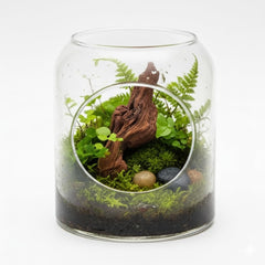 Emours driftwood para acuario, textura realista que mejora la estética del tanque.