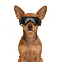 Gafas Enjoying para perros proteccion ocular, ideal para paseos al aire libre.