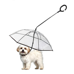 Enjoying paraguas para perro pequeño transparente, protege durante paseos en lluvia.