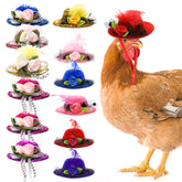 Eorbow sombreritos para gallinas con 12 packs en colores vivos