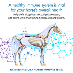 Equa Holistics HealthyGut: siringas orales de 7 días para potros