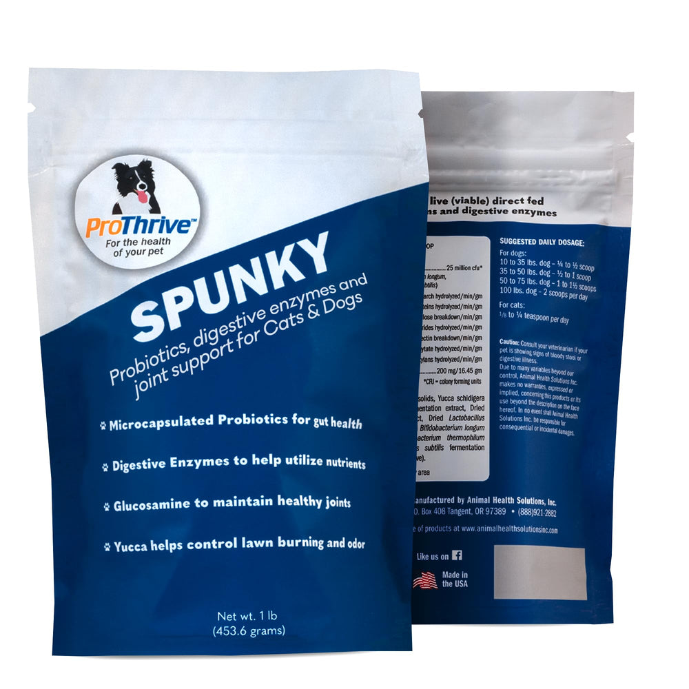 Equerry's ProThrive Spunky, botella vertida, apoya la digestión y la absorción de nutrientes.