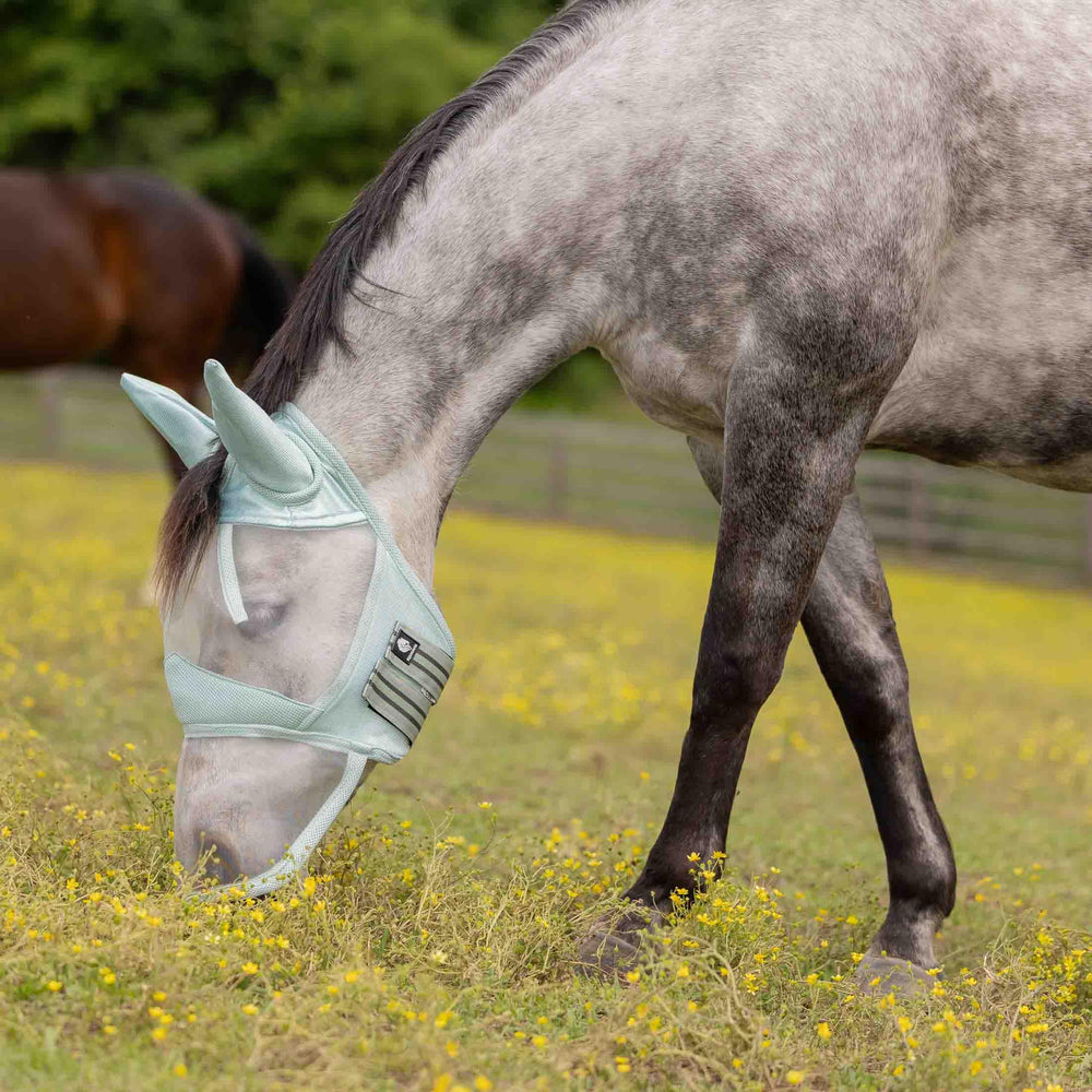 Equinavia Algard frente de doble dardo para protección ocular y visión clara