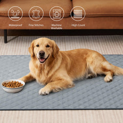 Tapis réutilisable et lavable Eterish, solution économique et écologique pour votre chien.
