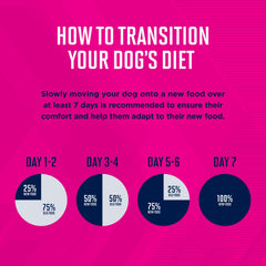 Perro comiendo Eukanuba adulto cordero arroz, opción sabrosa y nutritiva