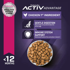 Eukanuba cachorros de raza grande: primer ingrediente pollo para proteína de calidad.