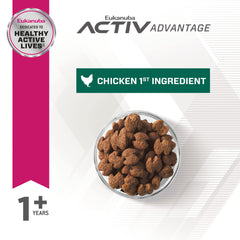 Eukanuba Fit Body Small Breed kibble close-up emphasizes balanced nutrition