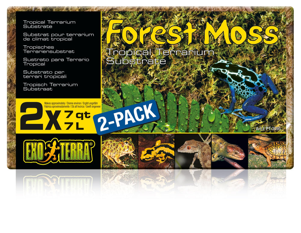Exo Terra Forest Plume Moss en envase, ideal para refugios húmedos.