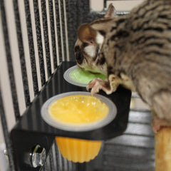 Nectar Pods con calcio, Exotic Nutrition, refuerzo para huesos de mascotas pequeñas.