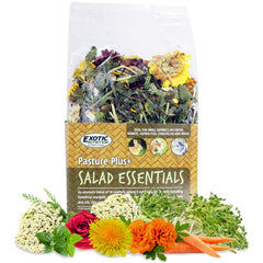 Exotic Nutrition Pasture Plus: ensalada esencial para animales pequeños, rica en fibra.