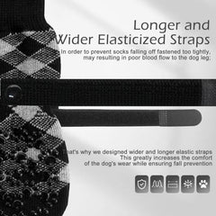 EXPAWLORER bottines chien, protection des pattes en extérieur.