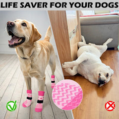 EXPAWLORER calcetines antideslizantes para patas mediana brindan comodidad diaria.
