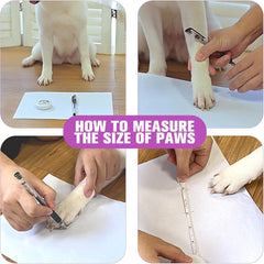 EXPAWLORER protección de patitas contra calor y pavimentos duros.