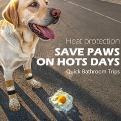 EXPAWLORER protección de patas contra calor y frío, ideal para paseos al exterior.