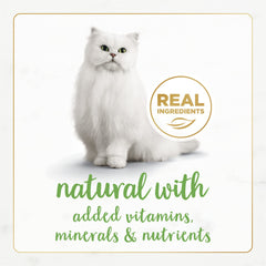 Lata abierta de Fancy Feast Naturals Pate, presentación práctica para raciones diarias.