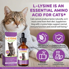 FANGCUN L-Lisina, opción para mezclar con comida diaria de tu gato