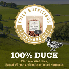 Farm Hounds Canard Trainers bienfaits nutritionnels favorisent peau et énergie