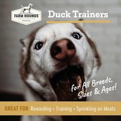 Farm Hounds Canard Trainers tranches petites, récompense idéale