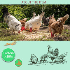 FCI GRUBS gusanos para gallinas, snack proteico para aves de corral