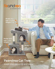 Feandrea Arbol Gato: cueva superior con dos puertas para observar desde arriba.