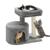 Feandrea Arbol Gato Pequeño – Poste de Sisal para rascar y explorar.