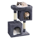 Feandrea arbol-gatos-percha-grande: plataforma amplia para estirarse y descansar