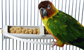 Feathersmart portador horizontal de mijo en jaula, seguro y estable.