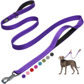 Fida correa para perro de 6 pies, duradera y cómoda para paseos prolongados.