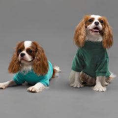 Fitwarm sudadera felpa verde azulado en perfil, movimiento flexible