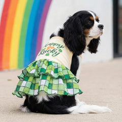 Vestido Fitwarm para perro, espalda, cómodo para paseos y fotos familiares.