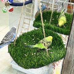 FlidRunest Hamaca de grama artificial para aves, descanso cómodo