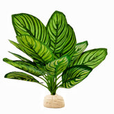 FLmoving planta artificial Calathea Makoyana para terrario: aspecto natural y sin riego