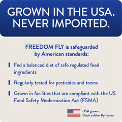 Pollos comiendo Freedom Fly: estimulando curiosidad y comportamiento natural