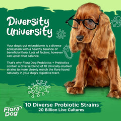 Vital Planet Flora Dog con 10 cepas mejora la diversidad intestinal canina.