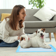 FluffyDream pad à 5 couches, absorption rapide et contrôle des fuites.